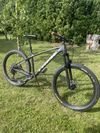 Trek Roscoe 7