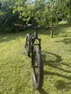 Trek Roscoe 7