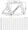 Pinarello Prince FX Disk