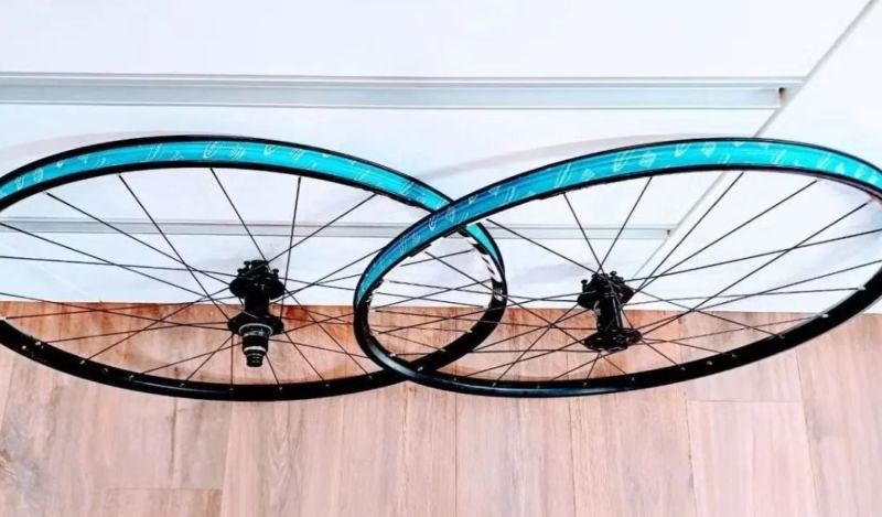 Gravel Kolesa WTB / Superstarcomponents