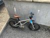 Early rider 