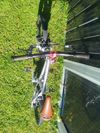 Early Rider Belter 16