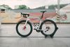 Trek Madone SL7 Ultegra TOP STAV