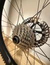 karbon E13 LG1 Race DH