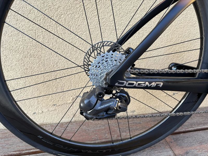 Pinarello Dogma F - 2025 / Campagnolo WRL