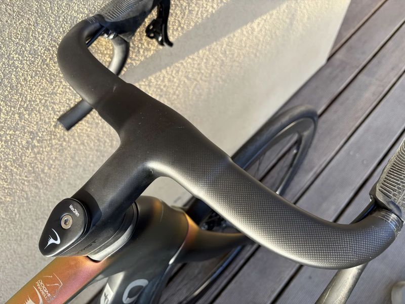 Pinarello Dogma F - 2025 / Campagnolo WRL