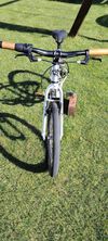 Early Rider 20
