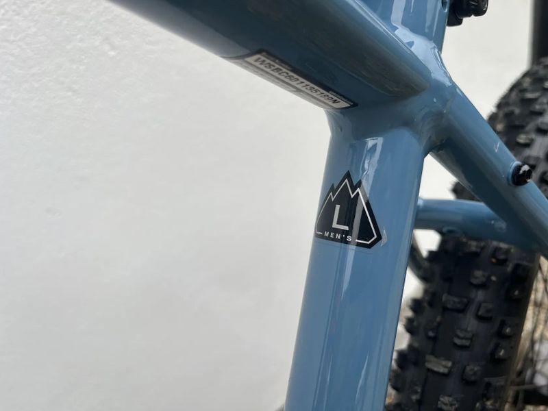 2019 Men's Turbo Levo Hardtail 29