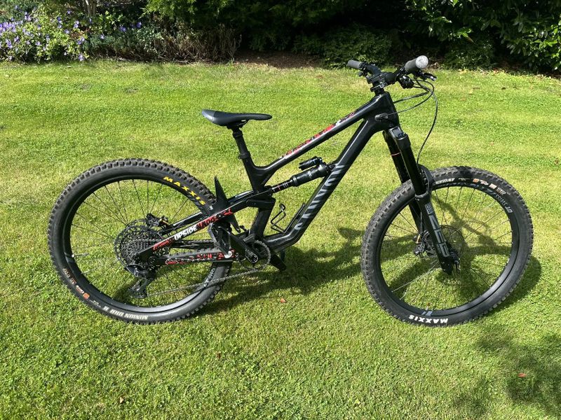 Canyon Torque CF 7 