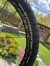 Trek Procaliber 9.7 2024