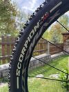 Trek Procaliber 9.7 2024