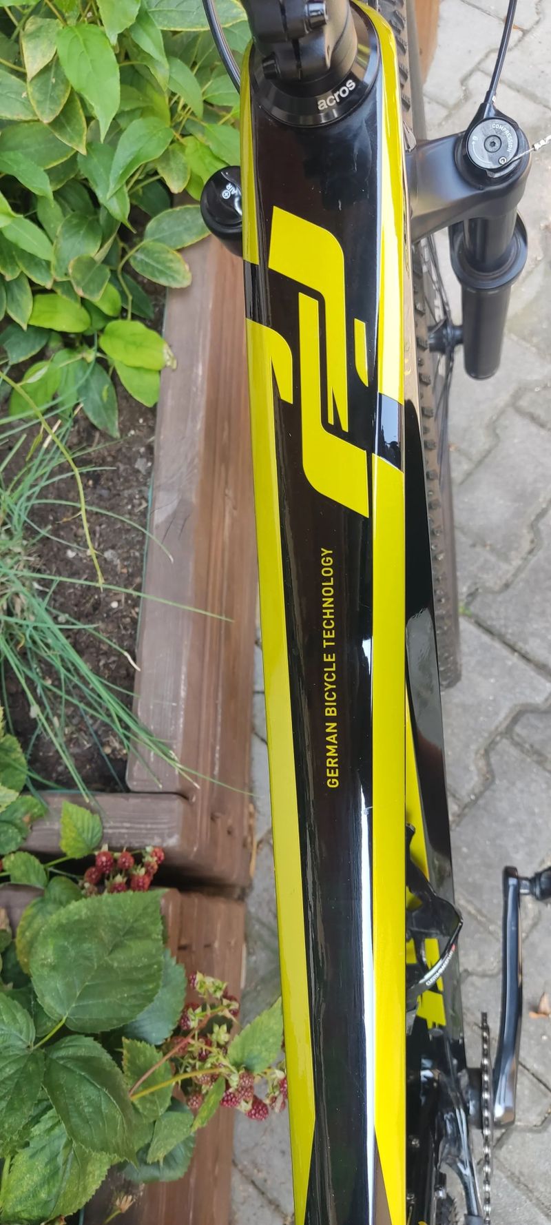 Karbonové kolo Ghost Lector vel XL