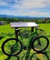 Specialized 