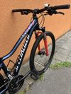 Horské kolo SPECIALIZED