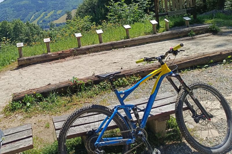 Celoodpružené kolo 