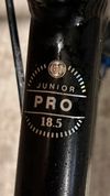 BMX GT Junior Pro 18.5"