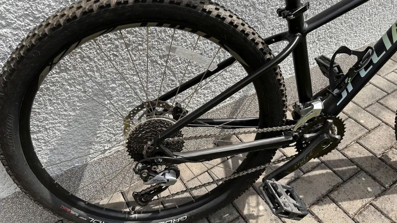 Specialized 
