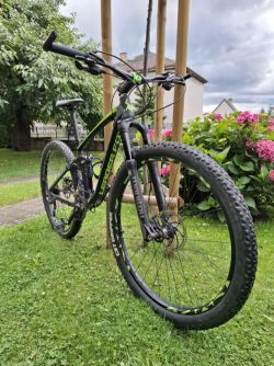 Leader Fox Harper 2019, 29", rám ALU 16"