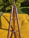 Cinelli Donna Supercorsa