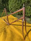 Cinelli Donna Supercorsa