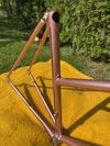 Cinelli Donna Supercorsa