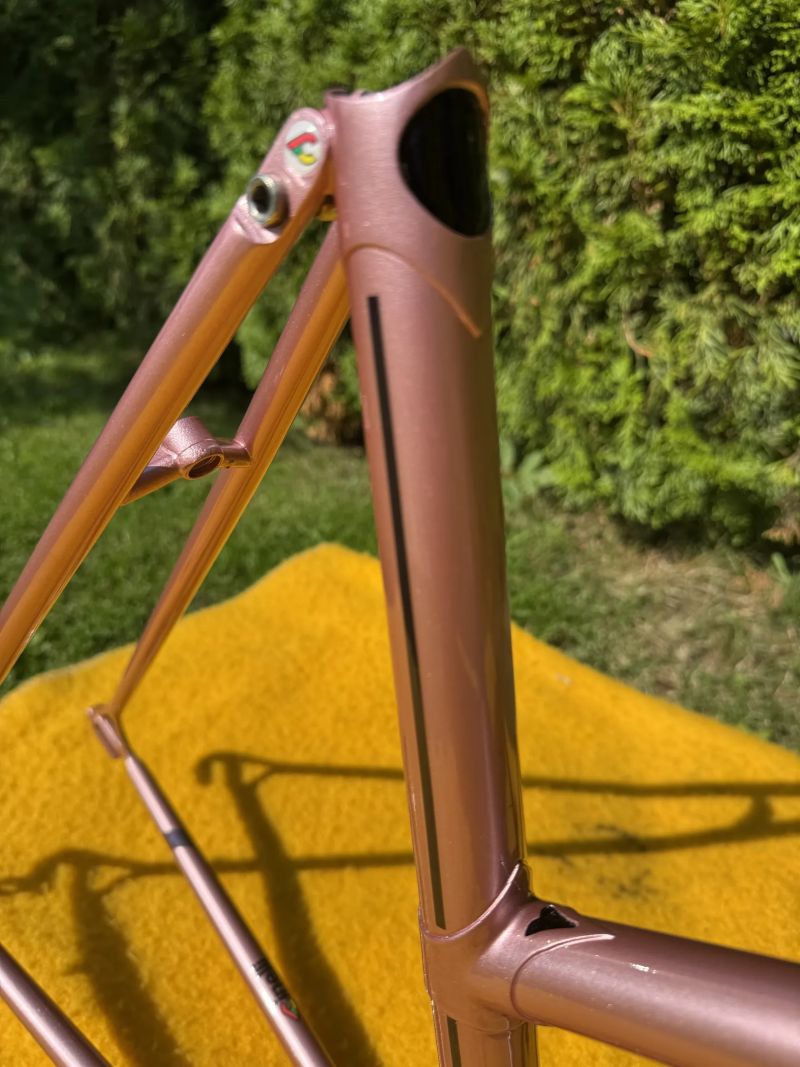 Cinelli Donna Supercorsa