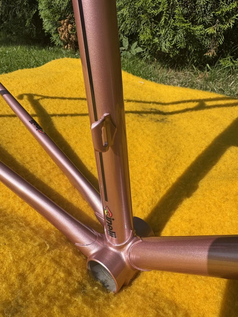 Cinelli Donna Supercorsa