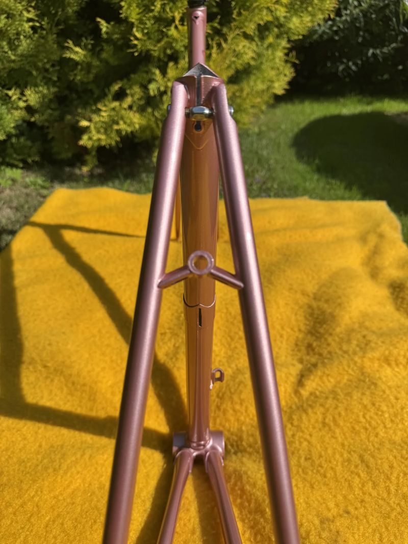 Cinelli Donna Supercorsa