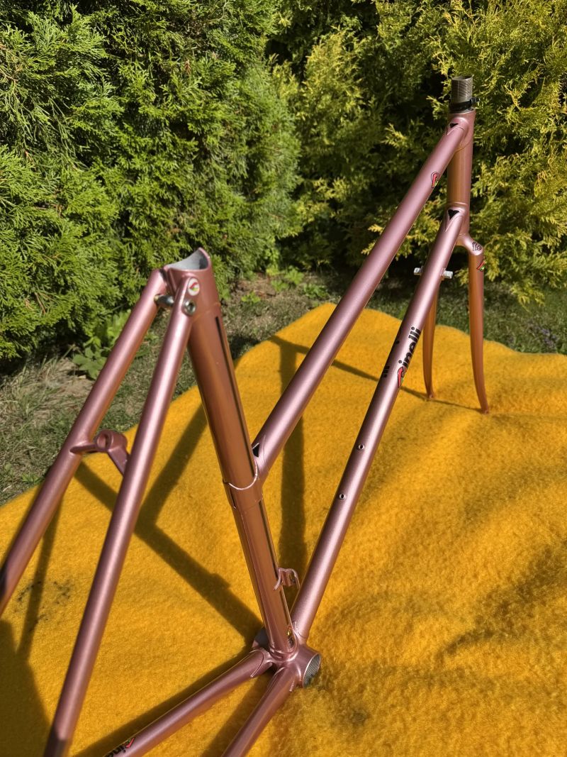 Cinelli Donna Supercorsa
