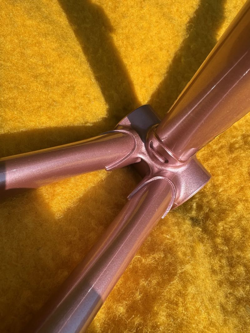 Cinelli Donna Supercorsa