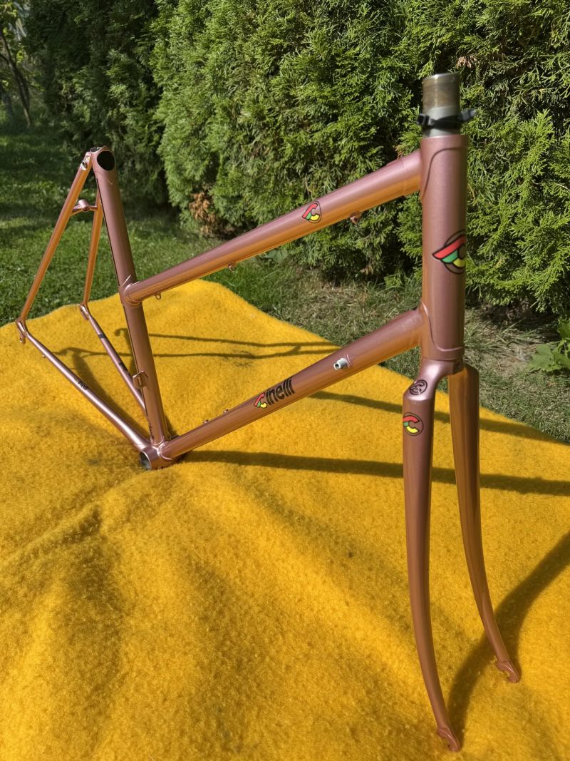 Cinelli Donna Supercorsa