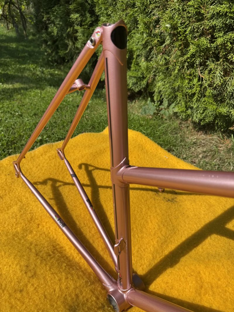 Cinelli Donna Supercorsa