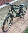 Dětské horské kolo Alpina Eco M10