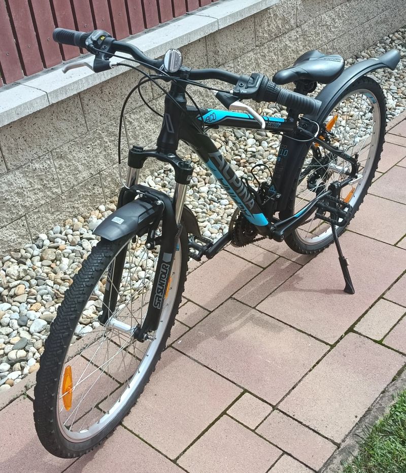 Dětské horské kolo Alpina Eco M10