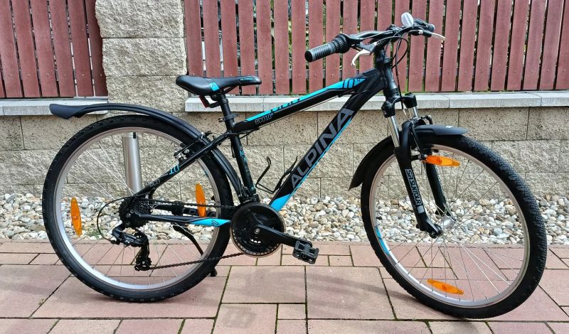 Dětské horské kolo Alpina Eco M10