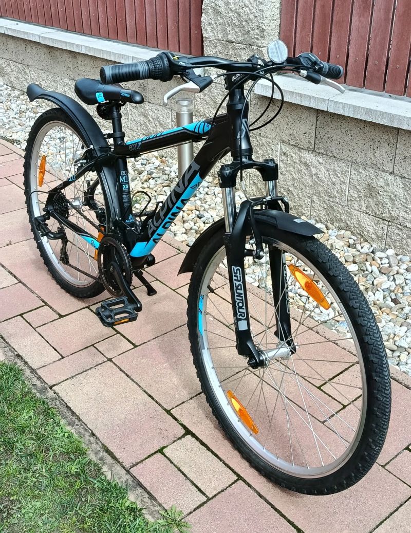 Dětské horské kolo Alpina Eco M10