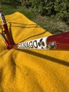 Colnago Super Profil