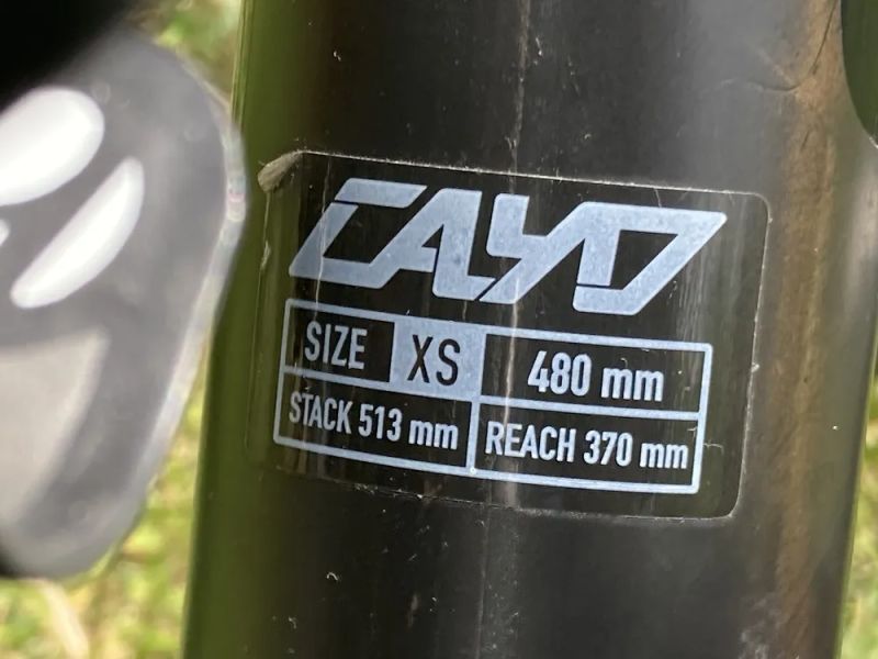 FOCUS CAYO vel.XS