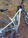 Propain Hugene 2 CF Limited Edition Bike