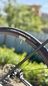 Canyon Ultimate CF SL Disc 7.0