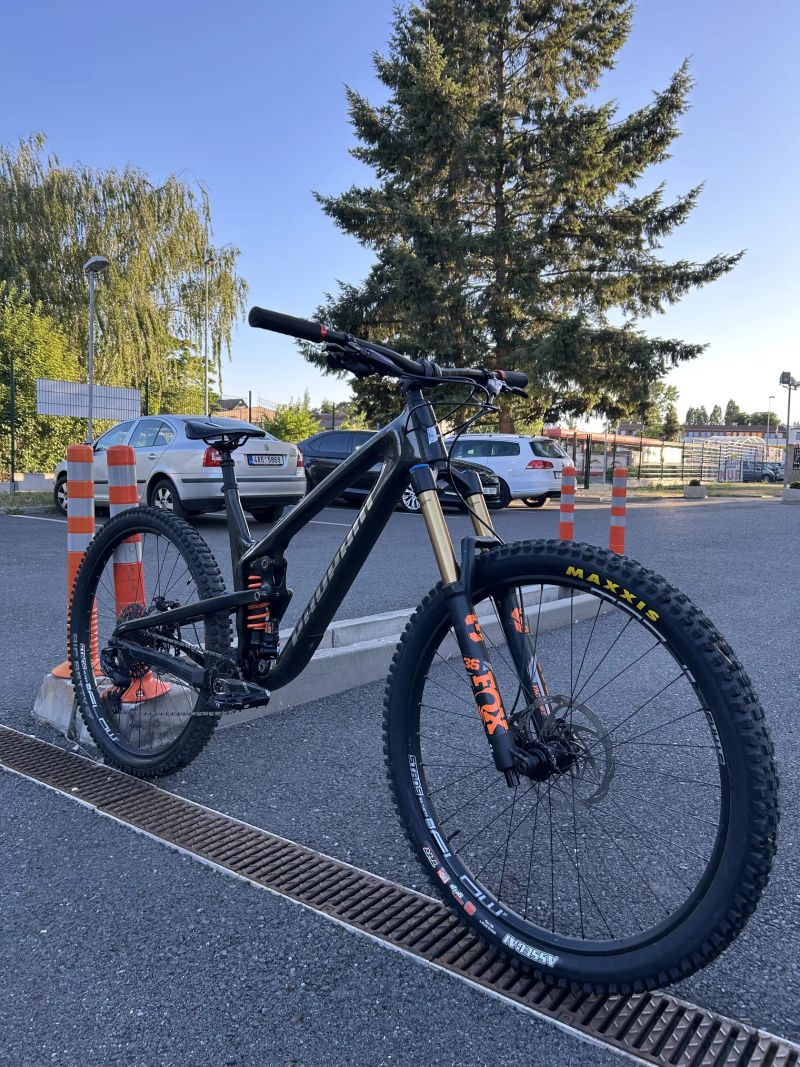 Propain Tyee CF 29 XL