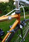 Moser 