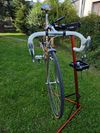 Moser 