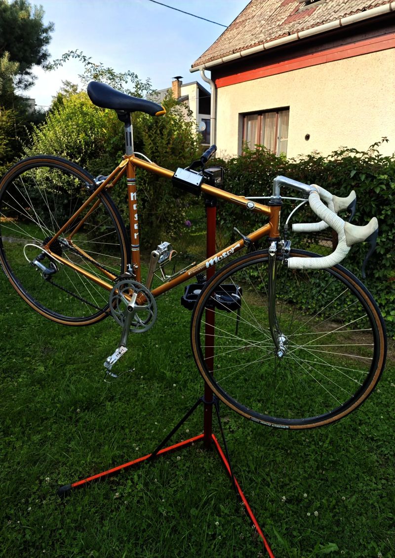 Moser 