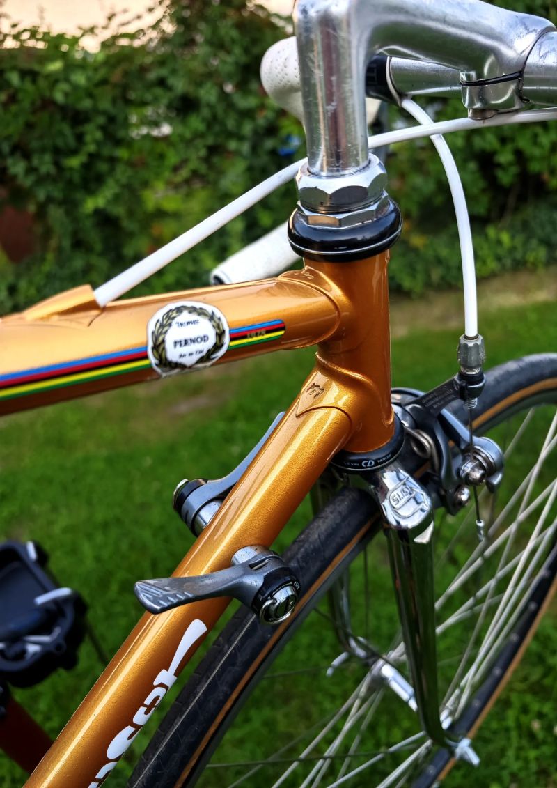 Moser 