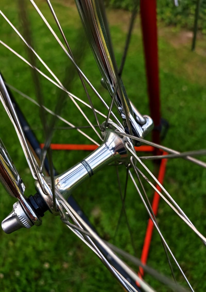 Moser 