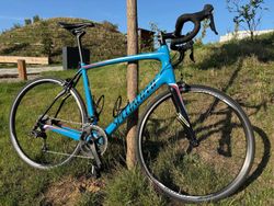 Specialized Roubaix SL4, velikost 58
