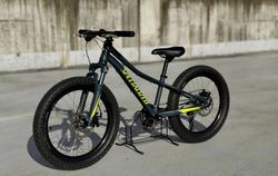Specialized Riprock 20"