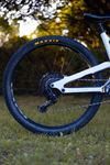 YT Jeffsy CF Pro 29 L