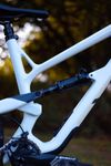 YT Jeffsy CF Pro 29 L